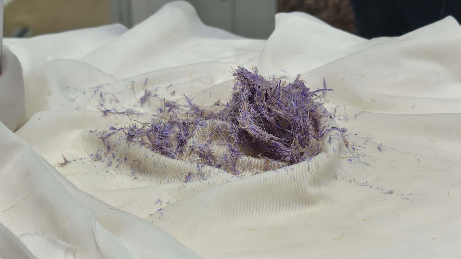 Preparation of floral extracts