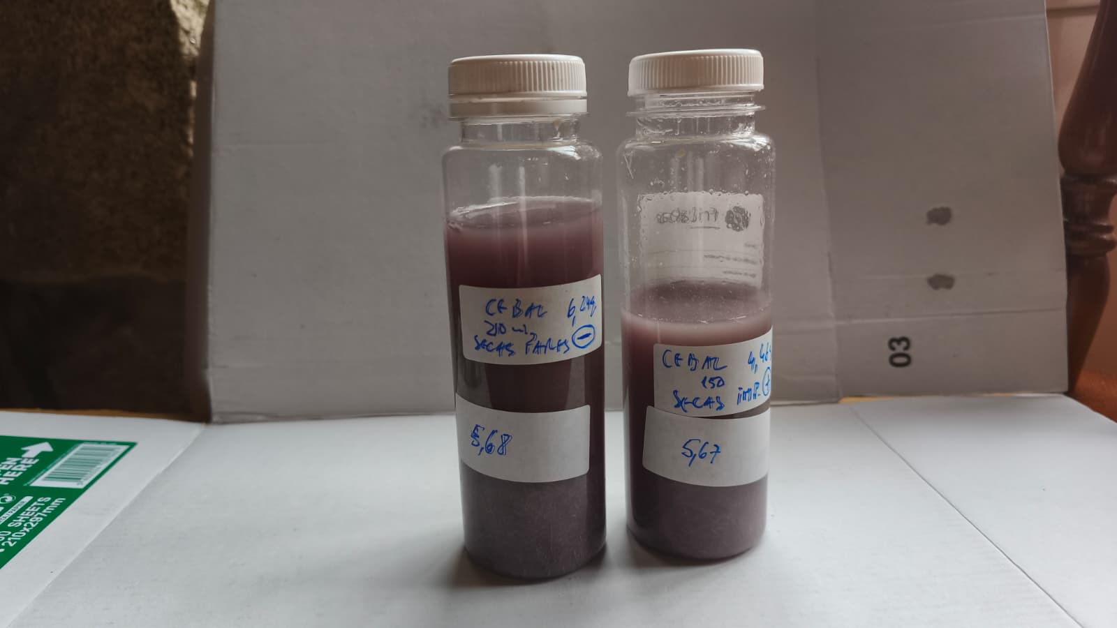 Milk coagulation