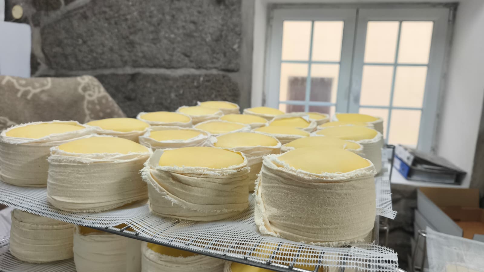 Mature Serra da Estrela cheeses